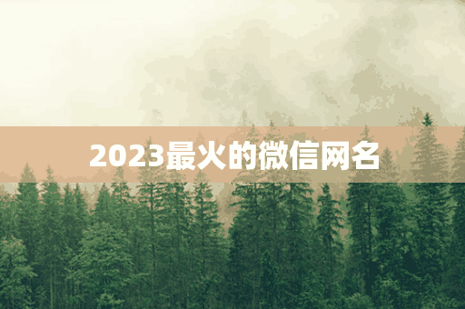 2023最火的微信网名(2023最火的微信网名男)